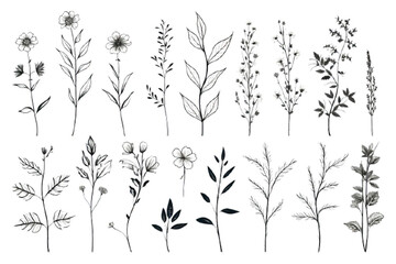 Illustration of a  Floral Arrangement