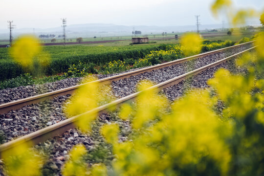 Flowers and old railroad track near Kahramanmaras Turkey