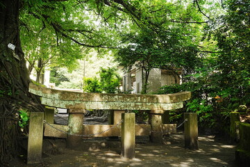 Ancient Ruins, Shrine Gate Torii Buried by Sakurajima Volcano in Kagoshima, Japan - 日本 鹿児島 桜島 黒神埋没鳥居