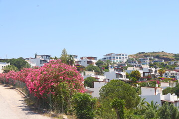 View of the highway, houses and mountains on the Aegean coast of T?ukey, orange groves. Turkiye, May 2023.