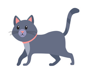 Cute cat walking in funny pose vector illustration. Cartoon isolated little gray animal with amusing whiskers on face, domestic cat with tail and paws, friendly expression of fluffy adorable kitten