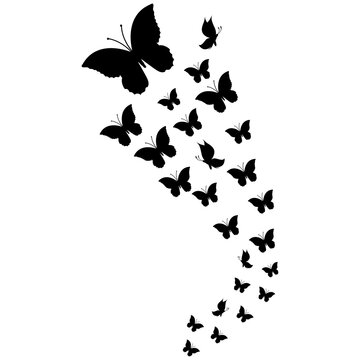 Flying butterflies on a white background