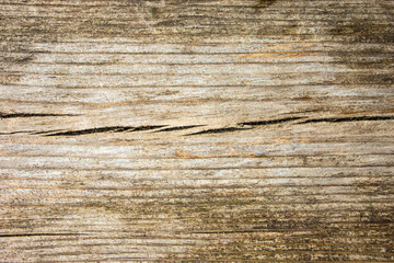 Fototapeta premium Texture of old natural dry wood.Dark wood,background.Grunge. Wood fiber.