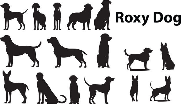 A set of  Roxy dog silhouette vector illustrations.