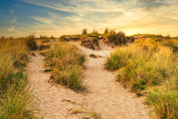Evening mood in the dunes of Egmond aan Zee - NL