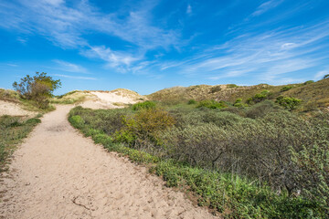 Hiking through the dunes near Egmnd aan Zee - NL in spring