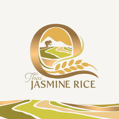 concept of  letter O, logo design  rice farm branding