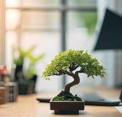A bonsai tree is on the desktop, you can see a laptop and notebooks with notes