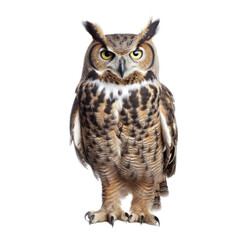 Obraz premium a Great-Horned Owl sitting, full body portrait, a nocturnal bird of prey, piercing eyes, Nature-themed, photorealistic illustrations in a PNG, cutout, and isolated. Generative AI