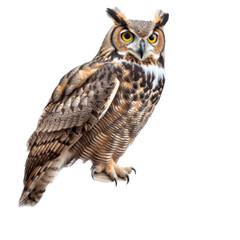 Obraz premium a Great-Horned Owl sitting, full body portrait, a nocturnal bird of prey, piercing eyes, Nature-themed, photorealistic illustrations in a PNG, cutout, and isolated. Generative AI