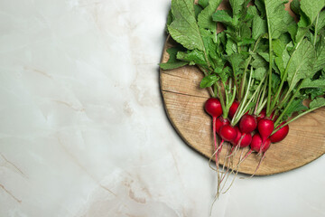 Radishes with tops on a wooden board. Fresh vegetables