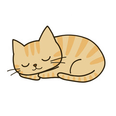 丸まって眠るシンプルな茶トラ猫