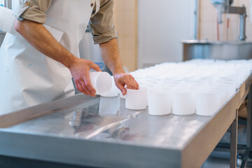 cheese maker in uniform makes cheese puts molds for pouring cheese production process small...