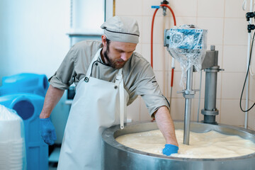 milk mixing at cheese factory cheese maker checks cheese by hand in large tank Pasteurization...