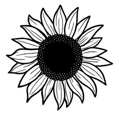 black and white sunflower