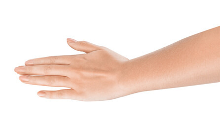 Open Palm. Female hand indicating a stop sign, presenting a clear boundary or limit to an...