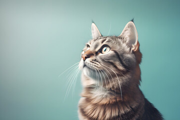 Tabby cat profile portrait studio shot, Generative AI