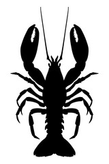 Lobster silhouette isolated on white background. Vector illustration