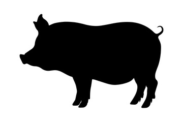 Pig silhouette isolated on white background. vector illustration
