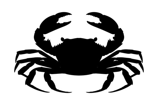 recommend clip art: Crab silhouette isolated on white background. Vector illustration