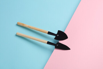 Gardening tools shovels for home plant on pink blue background.