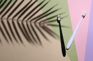 Dental care. Two toothbrushes on a pastel background with a palm leaf shadow. Minimalism summer concept