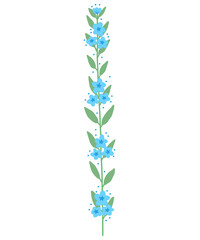 Fototapeta na wymiar blue sky flower vine