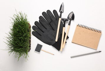Tools for care of the garden and house plants. Flat lay
