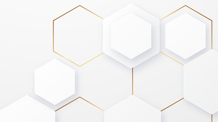 Abstract white and gray gradient background. Geometric modern design. Abstract white and gray gradient background. Geometric modern design.  Embossed Hexagon, honeycomb white Background, light shadow