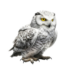 A white owl with piercing yellow eyes perched on the ground. Generative AI