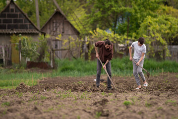 sustainable organic agriculture;hoeing soil , men tilling the orchard land with a hoe Weeding  Farming two Young farmers digging a garden mows  vegetables garden  land  Rural Moldova .