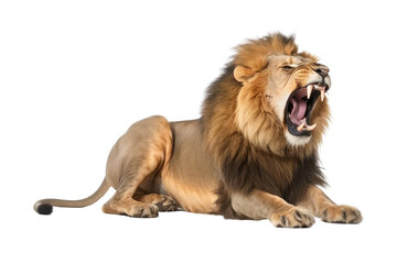 A fierce lion roaring with its mouth wide open in an isolated transparent png. Generative AI