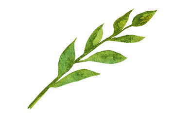 Watercolor illustration of a twig with green leaves