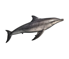 Obraz premium Gray shark swimming in a transparent background. Generative AI
