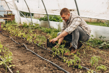 Young Caucasian man working in a greenhouse.
