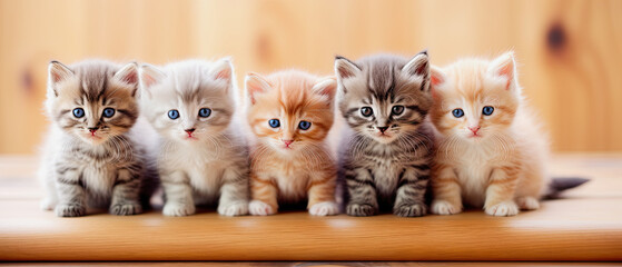 generative ai illustration of a row of cute kittens - obrazy, fototapety, plakaty