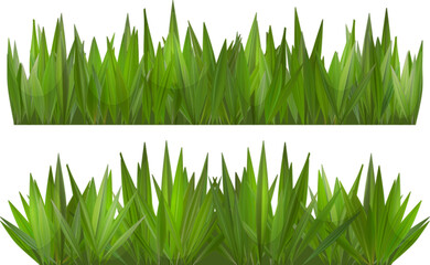 Green grass vector border on white or transparent background. Field or lawn isolated meadow turf. Realistic yard summer footer