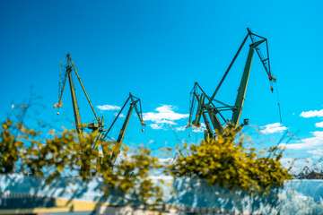 shipyard cranes
