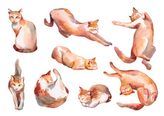 Set of watercolor happy straped red cats, hand-drawn simbol