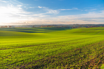 Fototapeta na wymiar green hills fields rural landscape in Poland