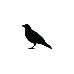 Raven silhouette icon vector graphics