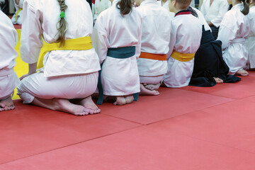 Children in kimono sitting in a line on tatami