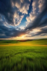 Fototapeta premium Green grass field landscape. Generative AI