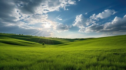 Obraz premium Green grass field landscape. Generative AI