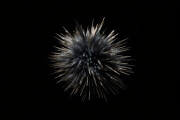 Fototapeta premium Fireworks in the night sky