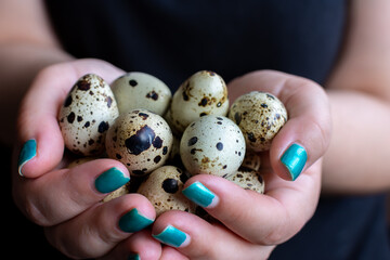 A lot of quail eggs in your hands