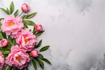 Peony flowers on light concrete stone background, spring flat lay composition. Valentine's, womens, mothers day, birthday or wedding concept. Top view. Copy space. Generated AI.