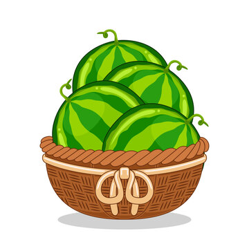watermelon fruit in basket vector illustration