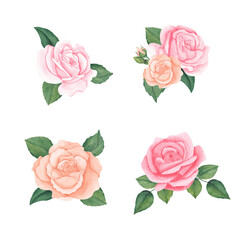 watercolor set of pink peach pastel roses bouquets. illustration for greeting cards, invitations. Isolated on white background