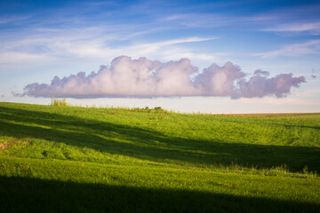 Landscape with field and sky